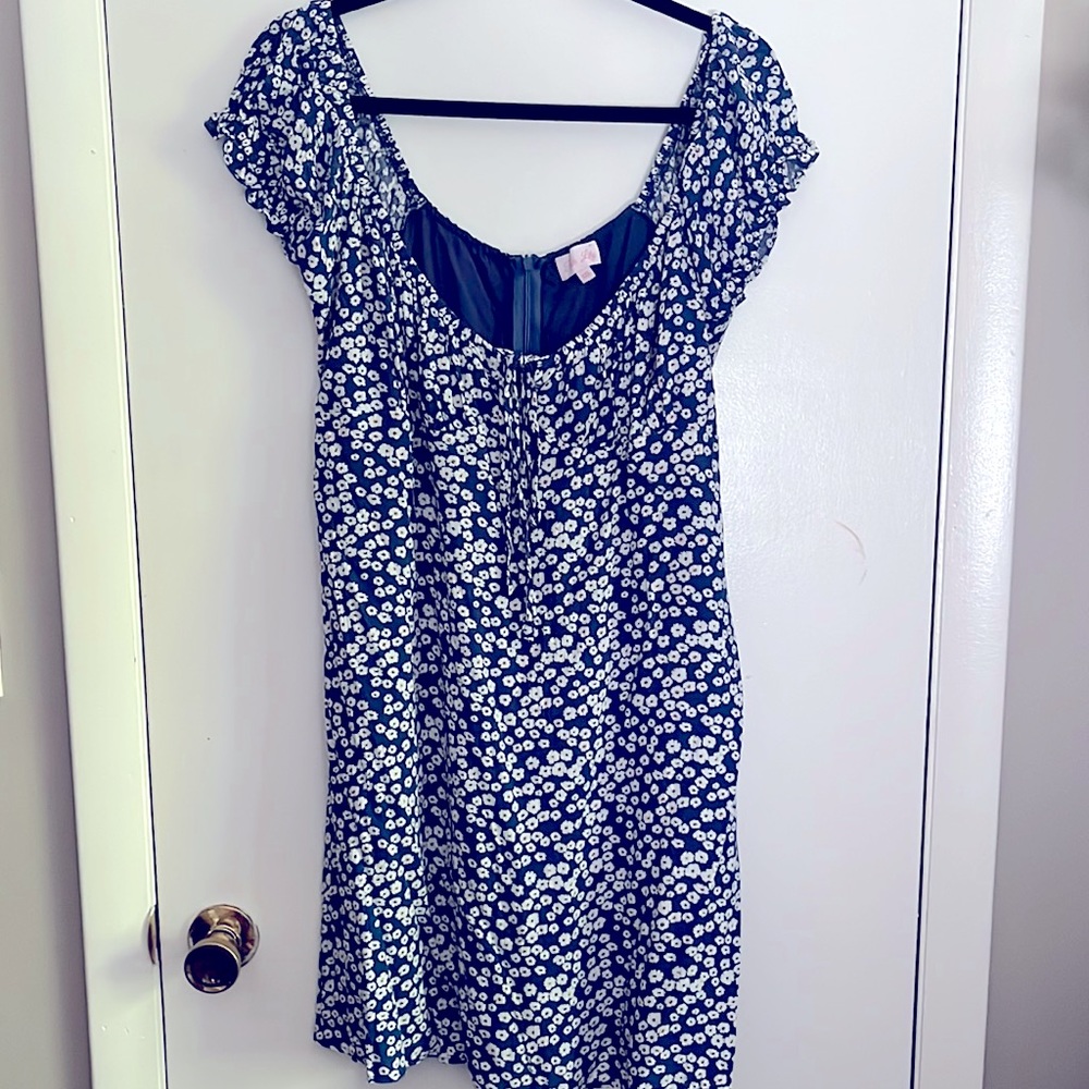 Daisies blue floral dress.  3XL.  Brand is Pink Lily.  Never been worn.